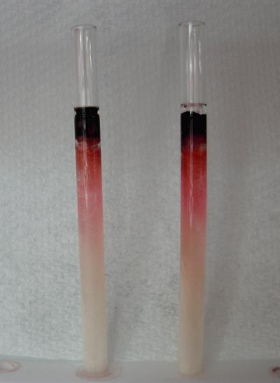 Silica-Gel Based Chromatographic Columns 