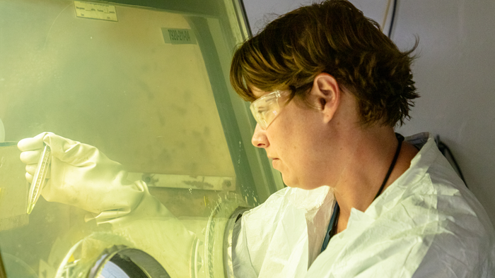 Purifying isotopes