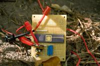 Tree Power Circuit