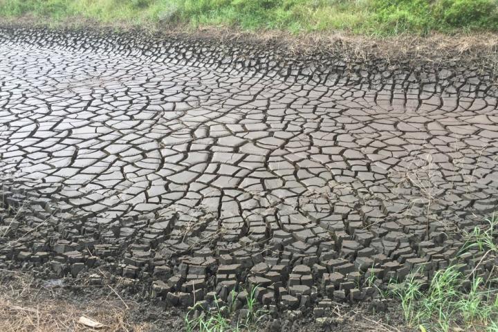 cracked earth
