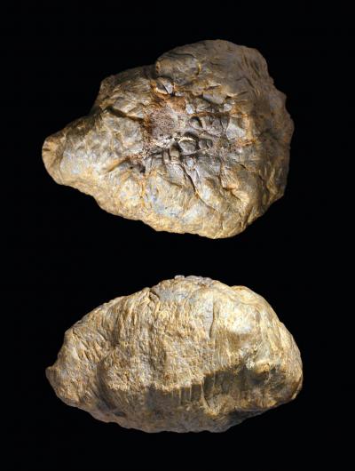 Skull Dome
