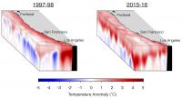 Temperature Anomalies off the West Coast