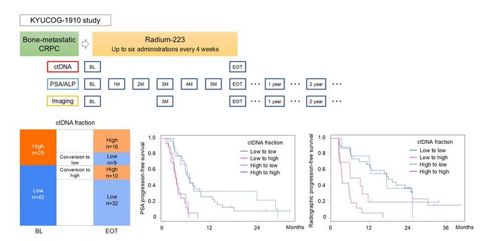 Changes in circulating tumor DNA during 223Ra treatment