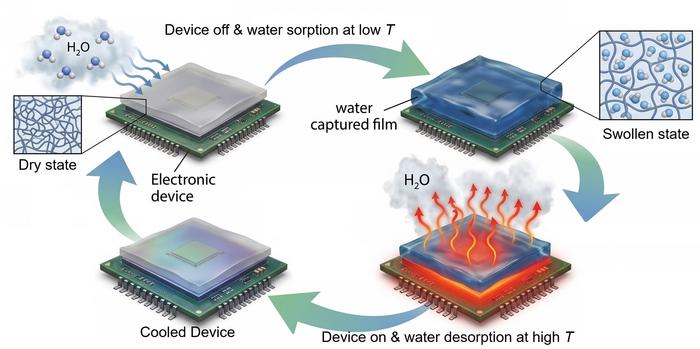 Principle of Operation of Moisture-Absorbing Evaporative Cooling Materials