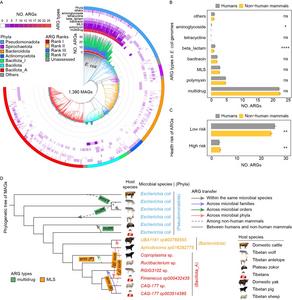 Comprehensive metagenomic survey reveals vast gut microbiome diversity and antibiotic resistome across 14 mammal species on the Tibetan Plateau