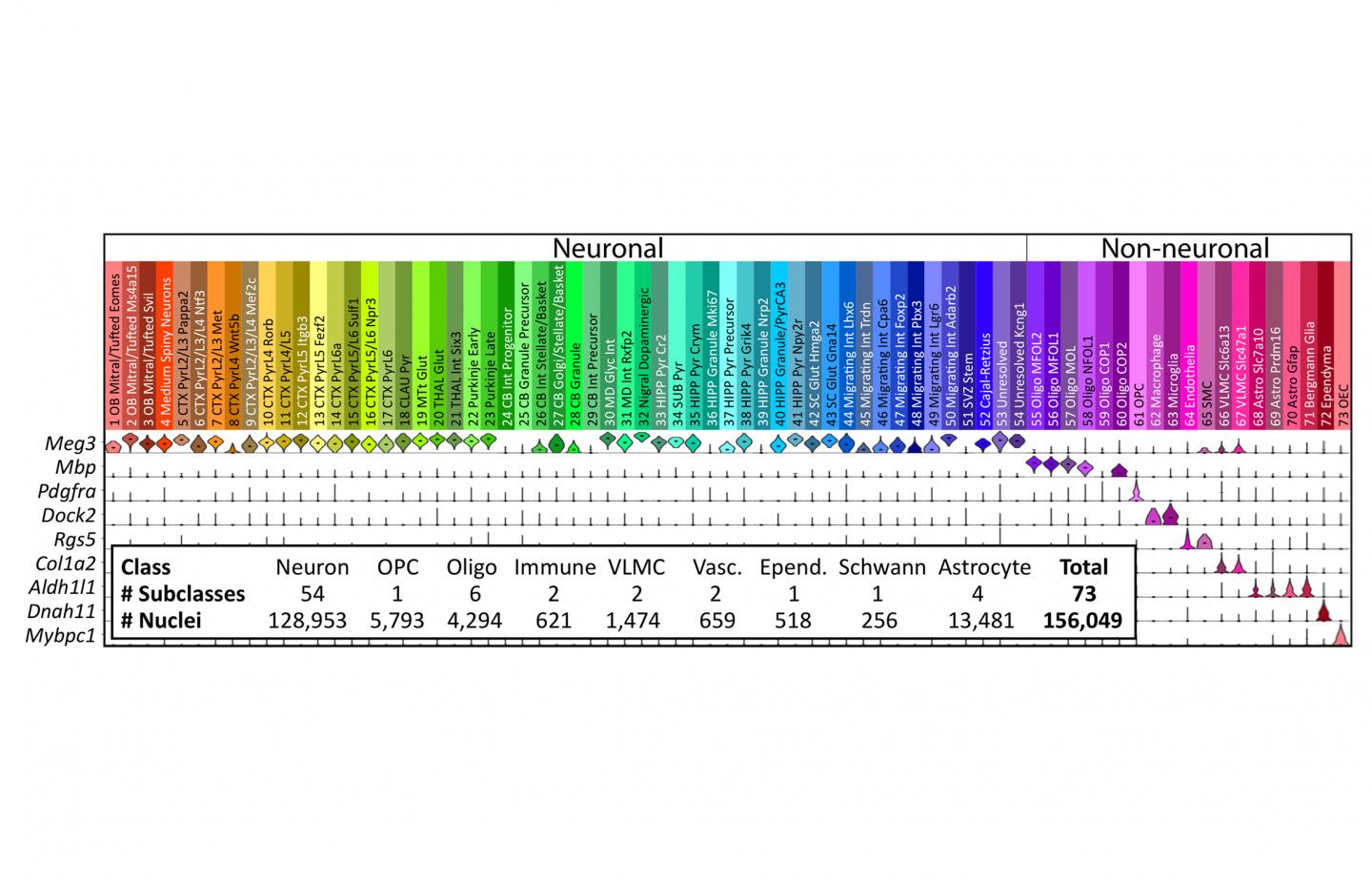 Single-Cell Transcriptome Landscape 
