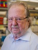 Jim Allison, University of Texas M. D. Anderson Cancer Center