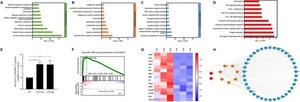 GO enrichment analysis and KEGG pathway analysis of co-expressed mRNA targets in the NC and EIU groups