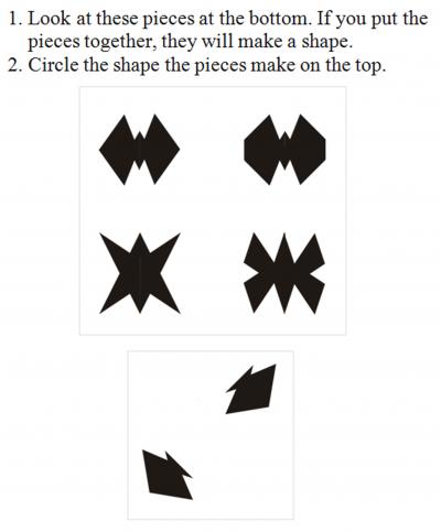Mental Rotation Problem