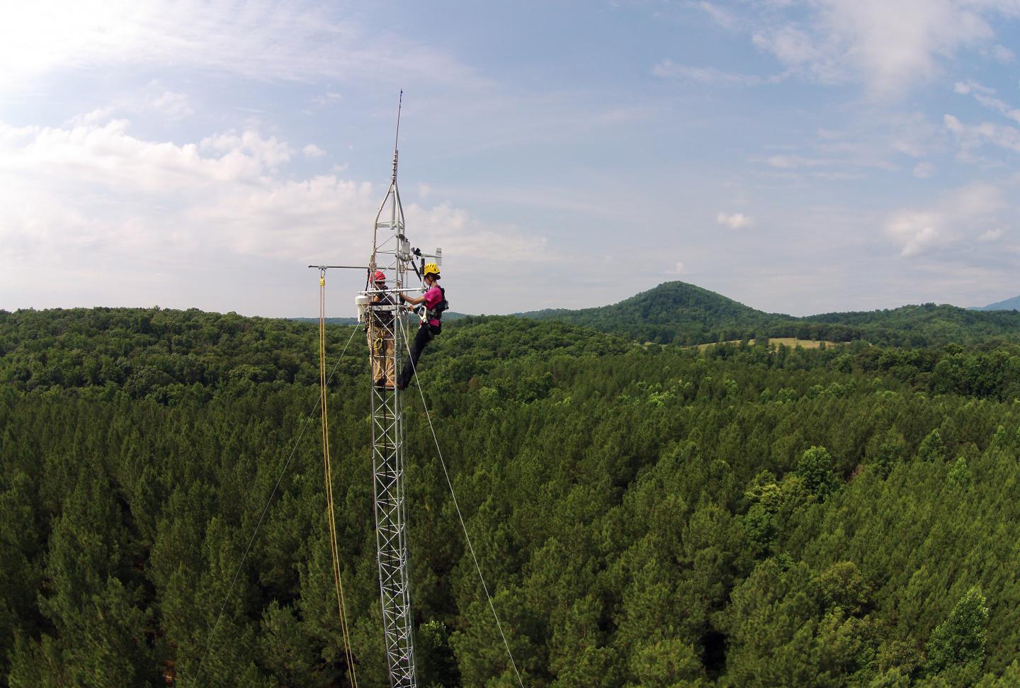 Atop the Tower
