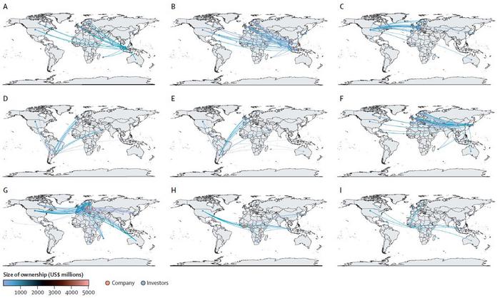 Investment flows as mapped in the study