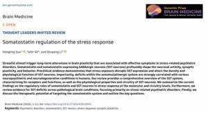 Somatostatin regulation of the stress response