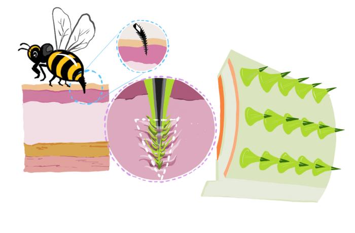 Novel Microneedle patches for pain-free drug delivery