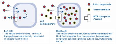 Chemosensitizer
