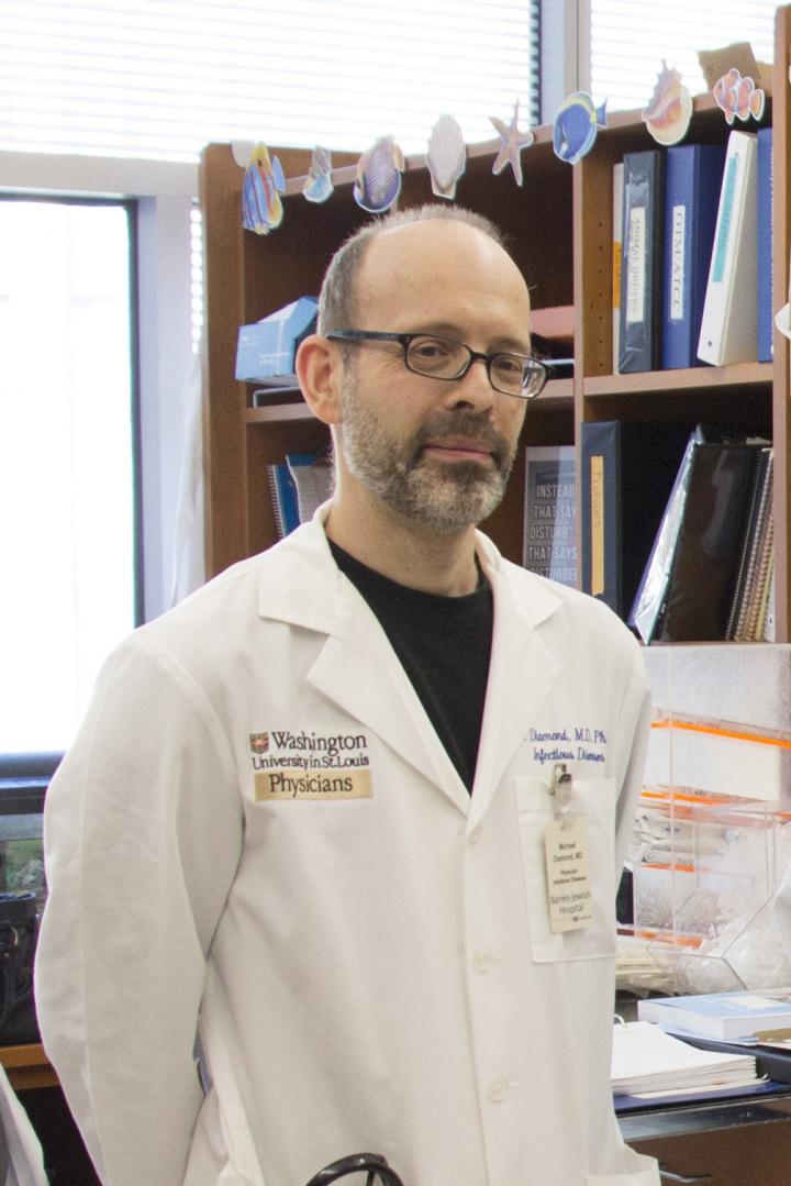 Michael Diamond, Washington University School of Medicine