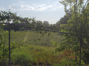 Deformed fence