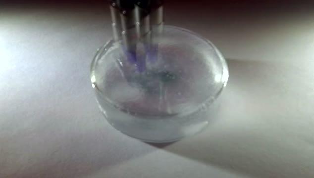 Printing Simplified Anatomy in 3-D (5 of 9)