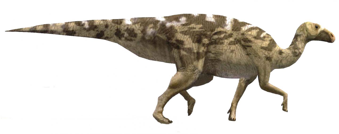 <em>Pararhabdodon isonensis </em>(Oscar Sanisidro / ICP)