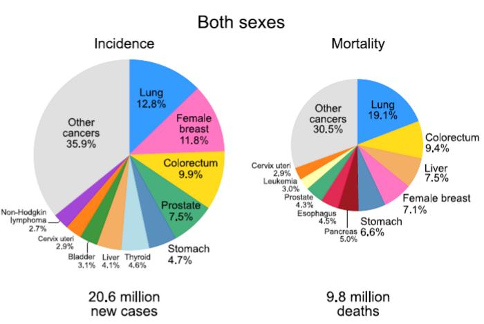 Cancer Cases Approach 21 Million Worldwide, With Burden Projected to Surge 67% by 2050