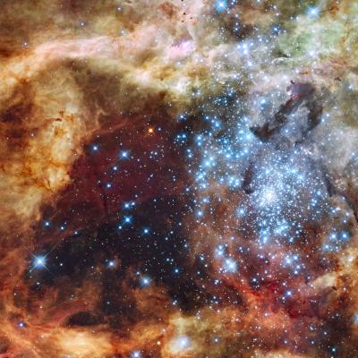 Tarantula Nebula