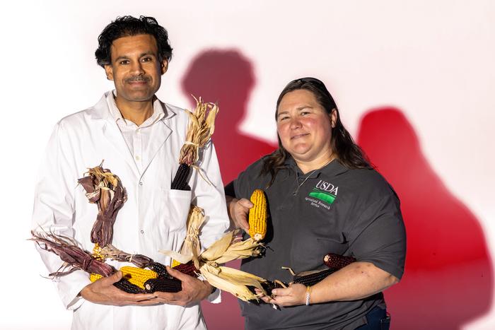Paval Somavat and Sherry Flint-Garcia