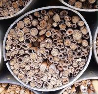 Reed Nesting Holes