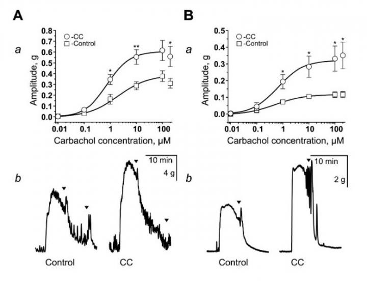 Contraction