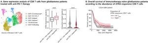 Vitamin A Metabolite Preserves T Cells’ Function as KAIST Points to a New Strategy for Treating Intractable Brain Tumors