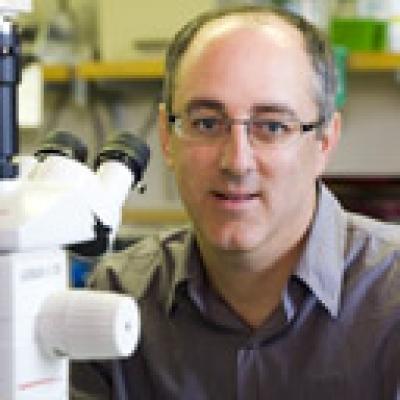Scott C. Baraban, Ph.D., University of California - San Francisco