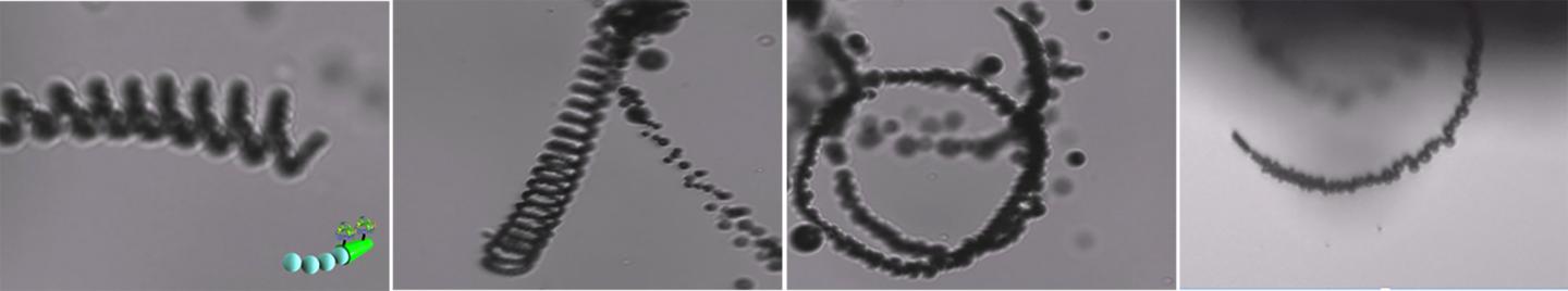 Movement of Carbon-Removing Micromotor in Sea Water