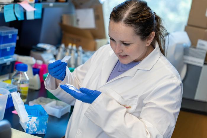 Allison Reno, Ph.D.