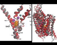 Molecular Models