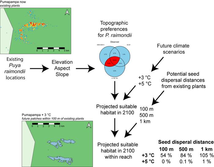 Graphical Abstract