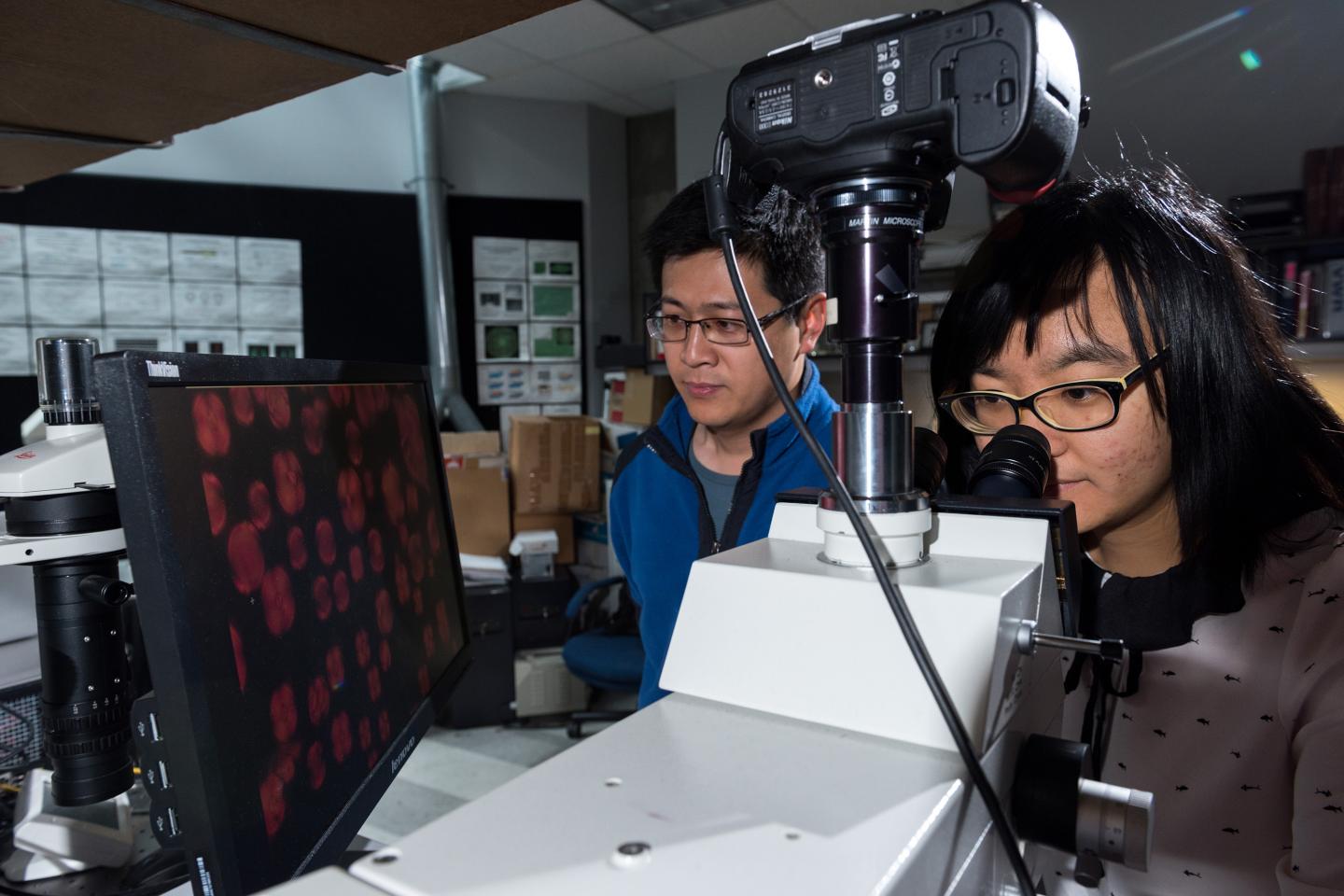 Jinxin Fu and Rui Chang, Georgia Institute of Technology 