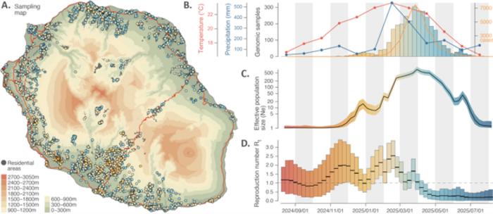 Illustration 2: analysis of the factors having impacted the course of the massive 2024-2025 chikungunya virus epidemic on Réunion island.
