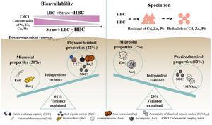 Fourteen-year field evidence reveals superior co-benefits of biochar in immobilizing heavy metals and sequestering carbon