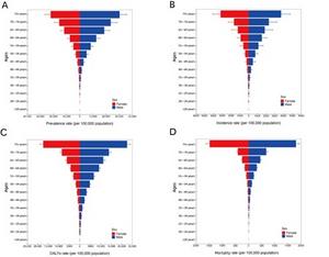Age and sex distribution of global IHD burden in 2021