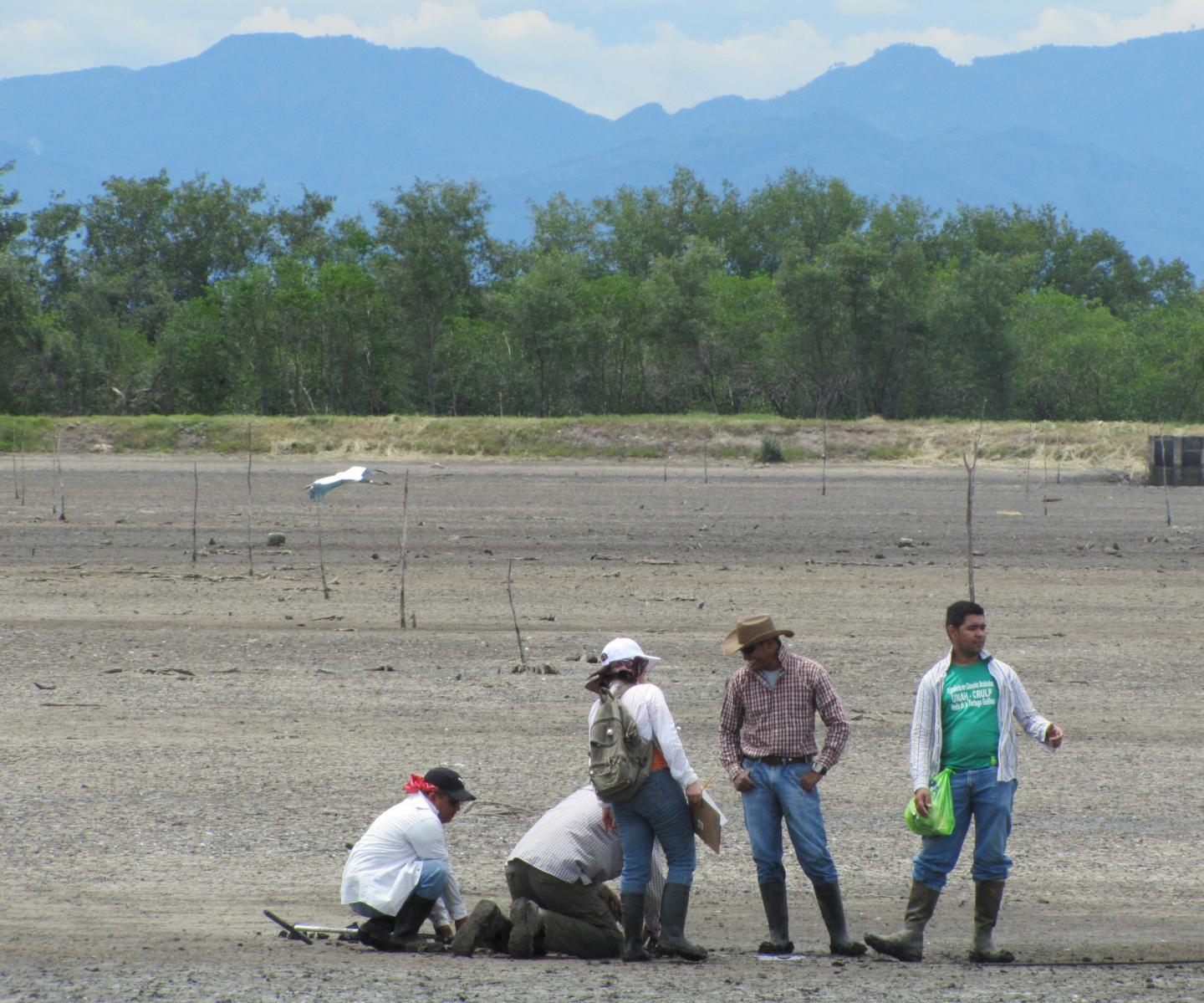 Honduran Shrimp Farm