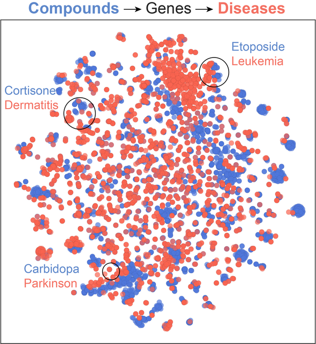 2D projection of interactions between compounds and diseases, according to their associated genes