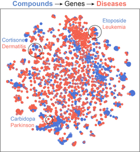 2D projection of interactions between compounds and diseases, according to their associated genes