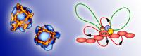 SATB1 Structure and Function