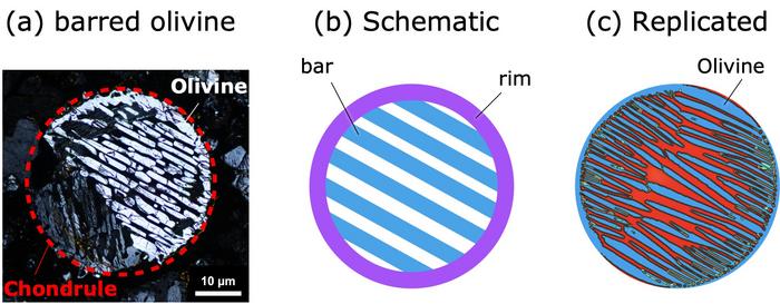 Replicating Barred Olivine