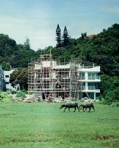 A new study led by City University of Hong Kong examines how Hong Kong residents in built-up areas feel about their unusual neighbours in semi-rural districts.