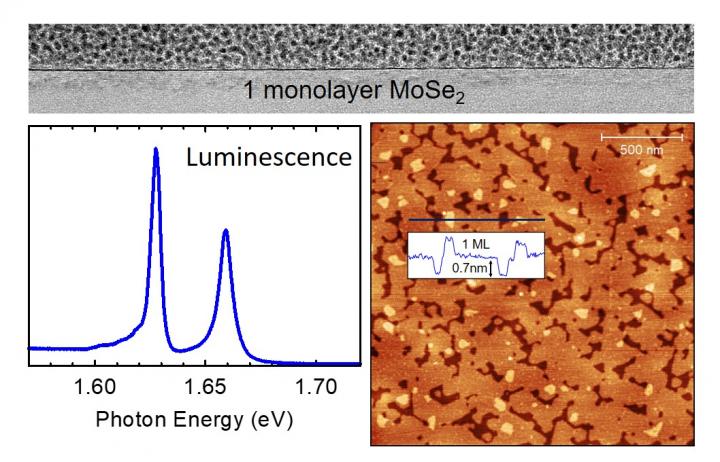 FUW MBETMD Monolayer
