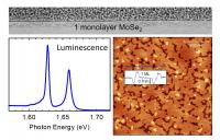 FUW MBETMD Monolayer