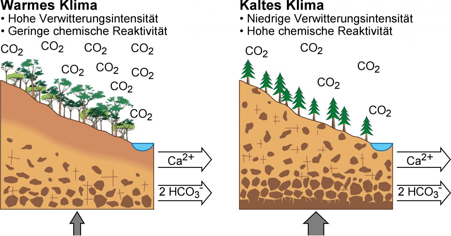 The 'reactivity' of the Land Surface