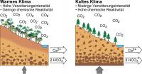 The 'reactivity' of the Land Surface