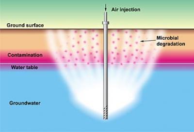 Microbial Degradation of Contaminants