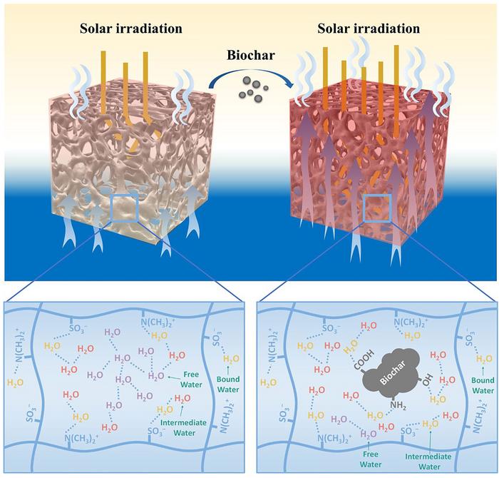Heat loss and water transport capacity regulation in hybrid evaporators