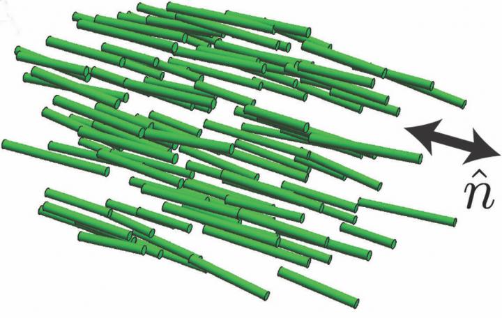 Liquid Crystal Vesicles